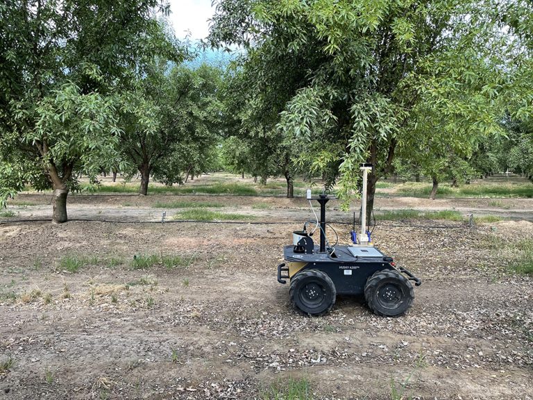 A Future for AI Technology in California Tree Nuts