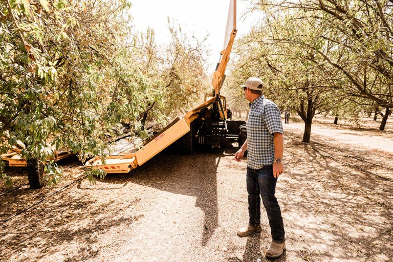 From the Orchard: Grower Bret Sill Focused on Adding Value Through Orchard Practices