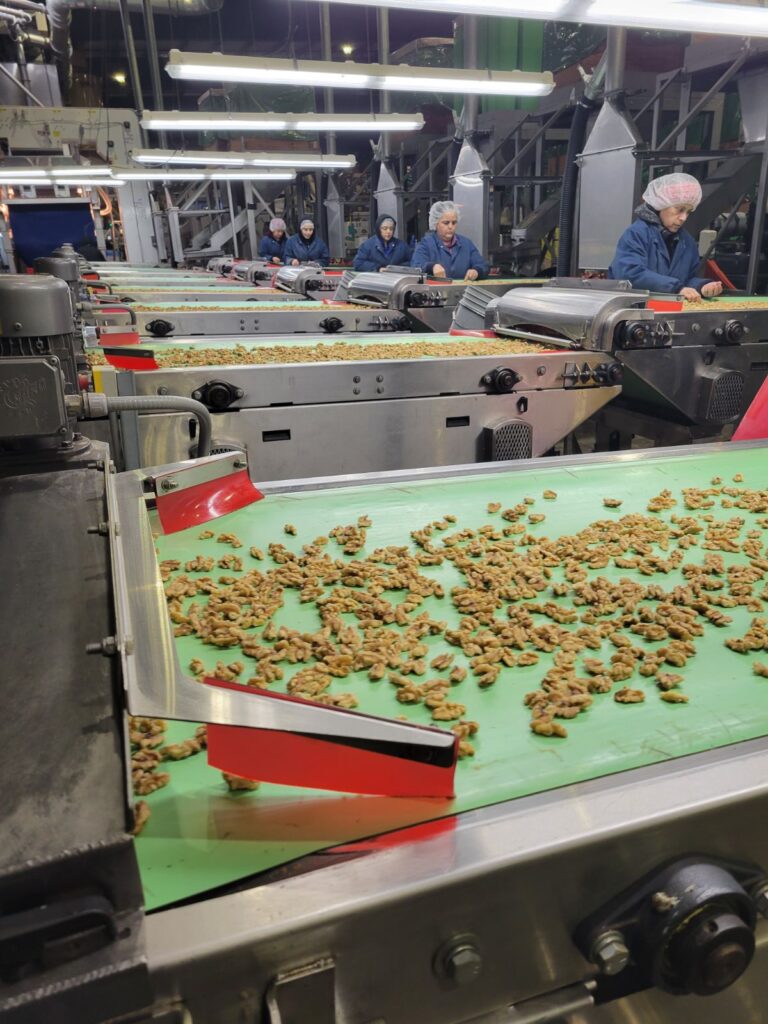 Walnut Industry Leaders Share Challenges and Efforts to Bolster Sales and Prices