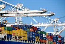 View from the Top: Why Rabobank is Bullish on the Almond Market