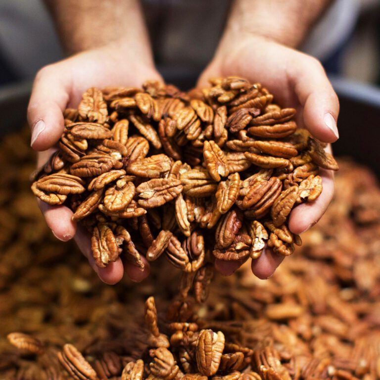 Charting The Course for Pecans: Unveiling an Industry-Wide Nutrition Strategy
