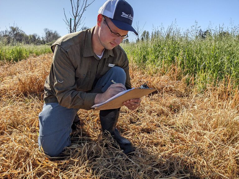 Farm Advisor Profile: Ryan Hill Brings Weeds Expertise to Cooperative Extension