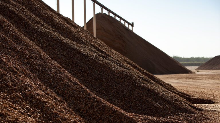 Maximizing Almond Hull Value Within the Animal Feed Sector