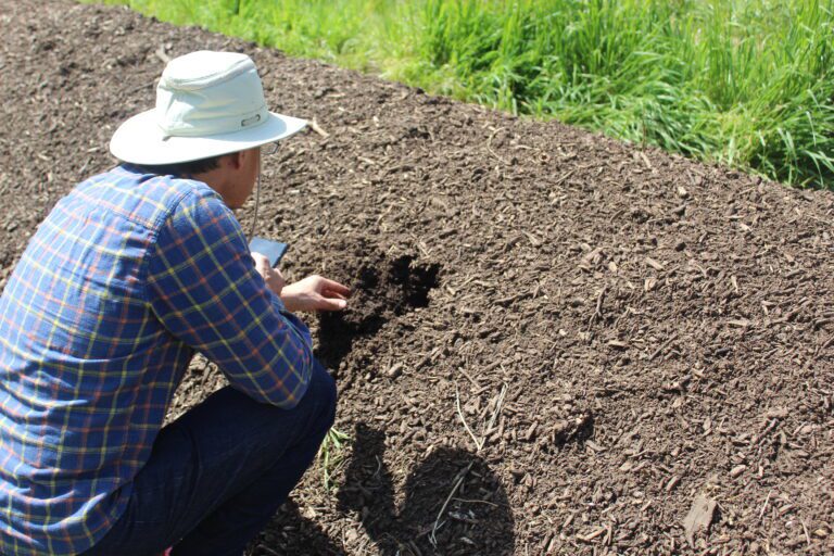 BIOS Walnut Orchard Focuses on Whole-Farm Approach to Fertility