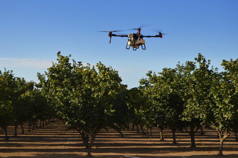 Drones Catching on in Tree Nut Orchard Applications