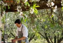 Plan for Greater Solubility of Nutrients In-Season at the Proper Time