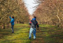 Navigating Wage and Hour Law Challenges in Agriculture: Start the New Year with a Clear Understanding to Avoid Litigation