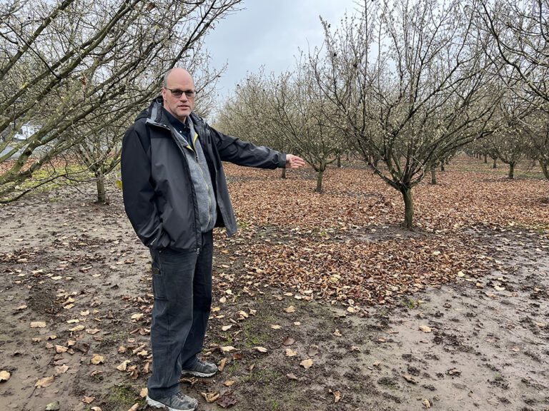 Planning for the Double-Density Orchard