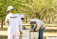 Advancements in Pollination Technology Gain Foothold in Tree Nut Orchards