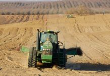 From the Board: When and What to Replant, and Creating Niche Markets: A Conversation with James Chinchiolo