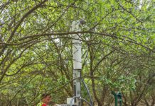 Digital Twin: Precision Tool Elevates Management Decisions