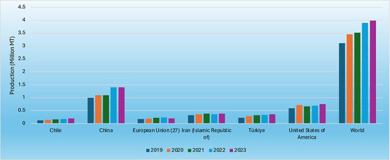 International Walnut Market Trends and Challenges for California