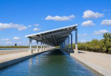 Can California Farms Co-Exist with Burgeoning Solar Projects?