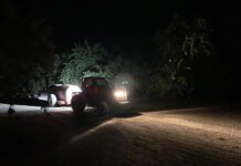 A Northern Perspective: June