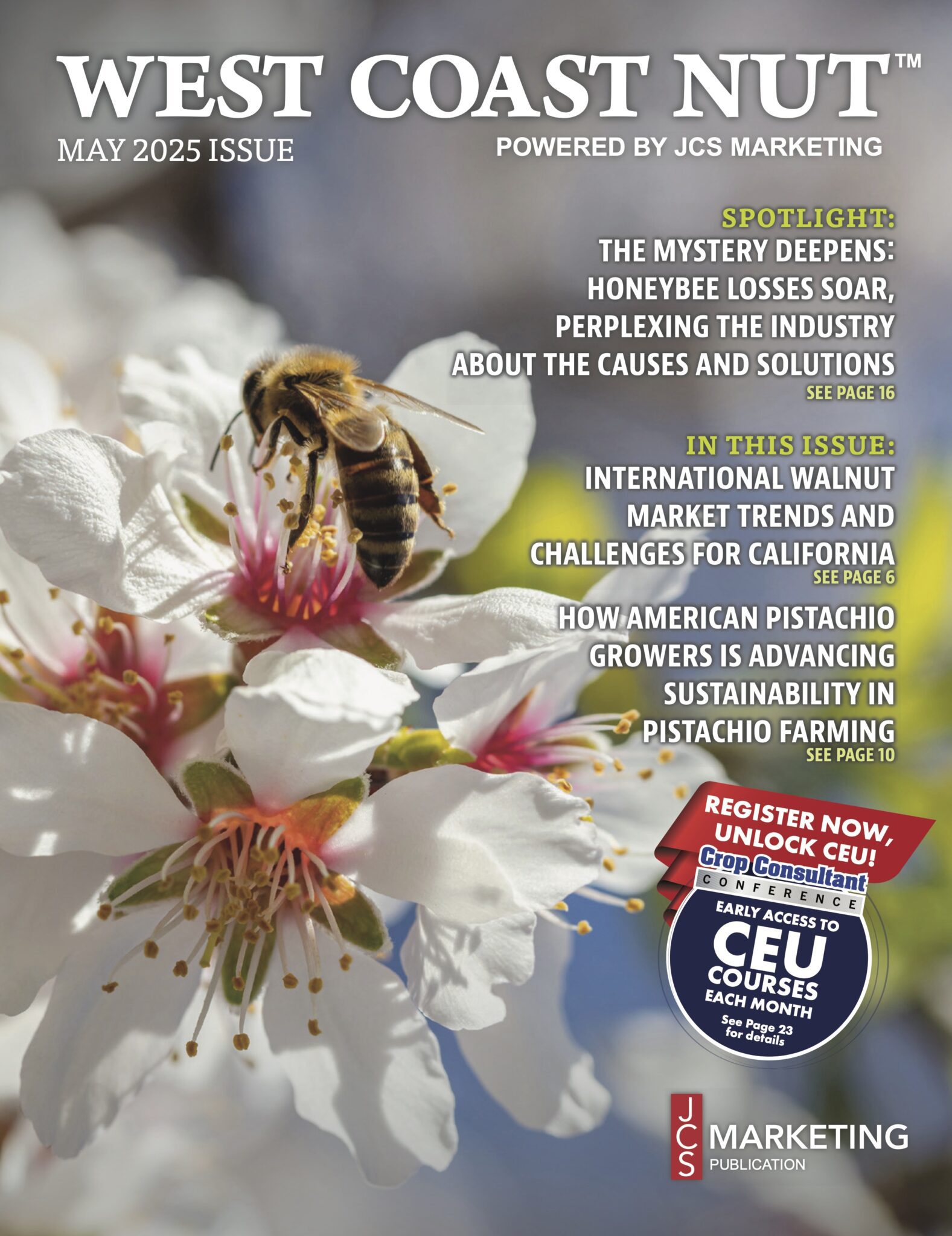 Magazine Cover