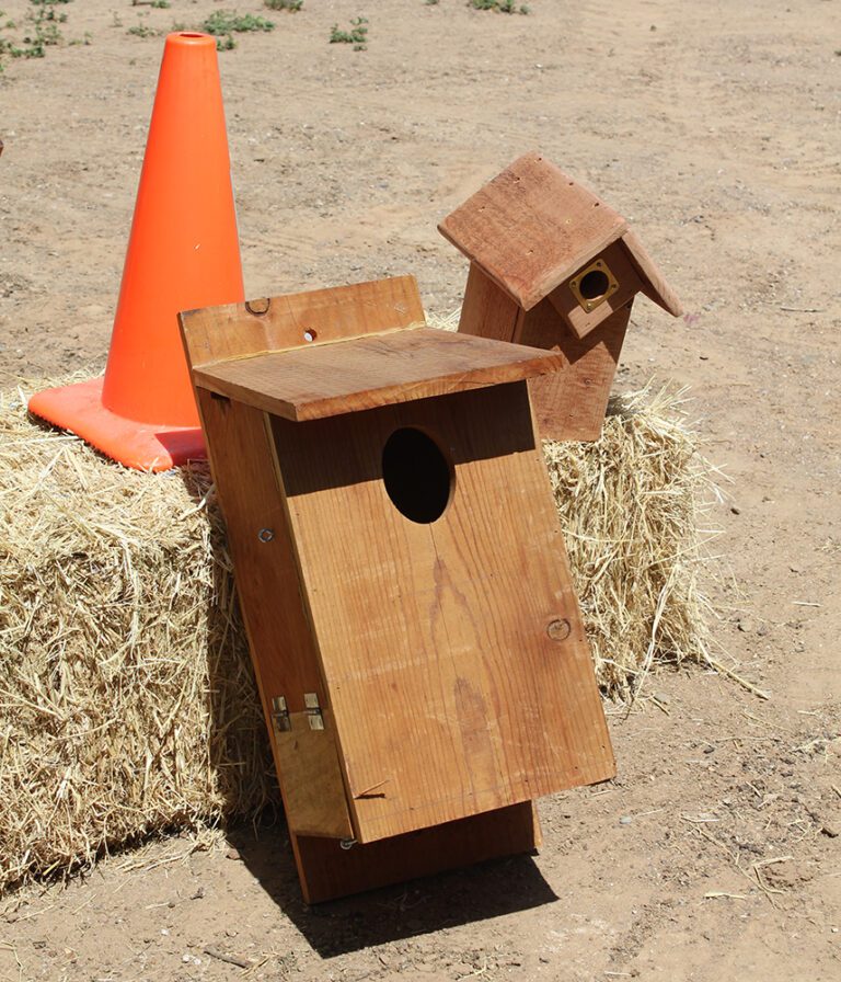 Nest Boxes to Attract Avian Predators