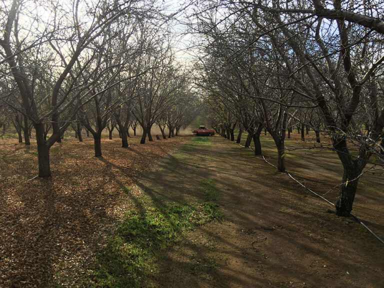 Almond Board of California Summit Shines Light on Research Diversity