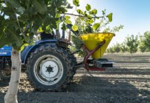 Key Aflatoxin Reduction Tool Was Born in an Arizona Cotton Field