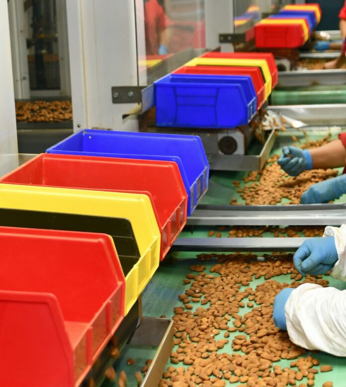 1-1-1 final-hand-sorting by Vicky Boyd (edited) Almond Hand Sorting