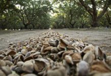 5 Ways to Improve Harvest Efficiency