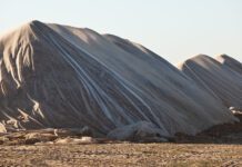 Postharvest Pest Management: Closing the Gaps to Protect Almond Quality