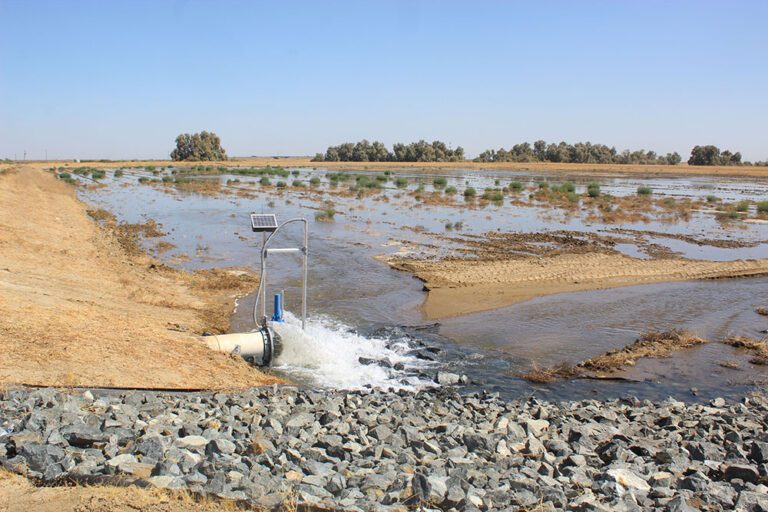 Innovative Water Strategies Aim to Restore Central Valley Aquifers