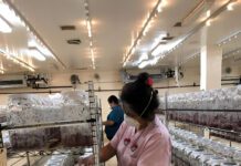 Almond and Pistachio Growers Use Sterile Moths in Battle Against Destructive Pest