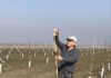 How Bruce Lampinen Helped California Growers Rethink Orchard Management