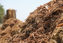 From the Board: Telling the Almond Industryās Stewardship Story