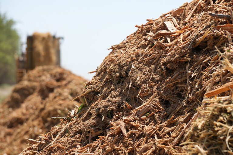From the Board: Telling the Almond Industry’s Stewardship Story