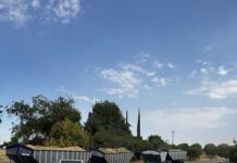 Why Starve Trees Mid-Harvest and Postharvest? Theyāre Still Hungry