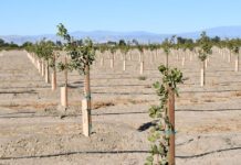 Helping Growers Evaluate a New Crop Enterprise: Factors to Consider