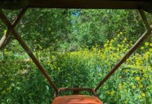 From the Orchard: James Chinchiolo: Fourth-Generation Grower Brings New Life to Family Tree Nut Operation