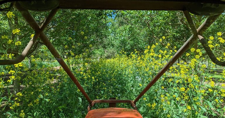 From the Orchard: James Chinchiolo: Fourth-Generation Grower Brings New Life to Family Tree Nut Operation