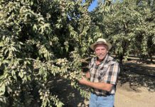 From the Orchard: First-Generation Grower Jamie Bledsoe Details Journey from Dairy to Almonds and Pistachios