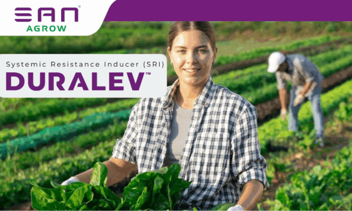 Duralev Product Image