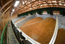 Hazelnuts Seize Market Growth Opportunities