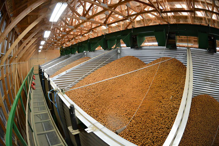 Hazelnuts Seize Market Growth Opportunities