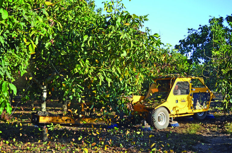 From the Board: 2026 California Walnut Conference: Connect, Learn and Shape the Future