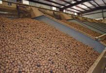 Say Thanks to a Grower Before You Enjoy Your Holiday Bounty!