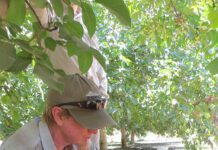 Regular Maintenance Helps Keep Irrigation Systems Efficient