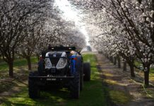 Turning Investment into Impact: How Californiaās $80 Million Bet on Rural Innovation Can Work for Tree Nut Growers
