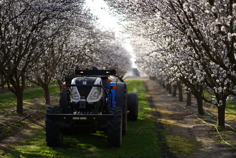 Turning Investment into Impact: How California’s $80 Million Bet on Rural Innovation Can Work for Tree Nut Growers