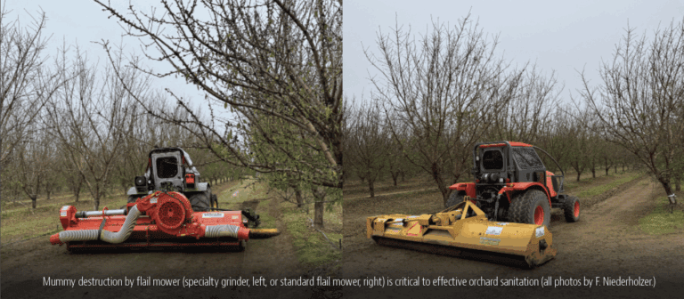 A Northern Perspective: Dormant-Season Strategies for Tree Nut Orchards