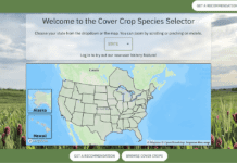 New Tool Helps Growers Choose the Right Cover Crops for Western Conditions