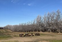 Northern Perspective: February 2026