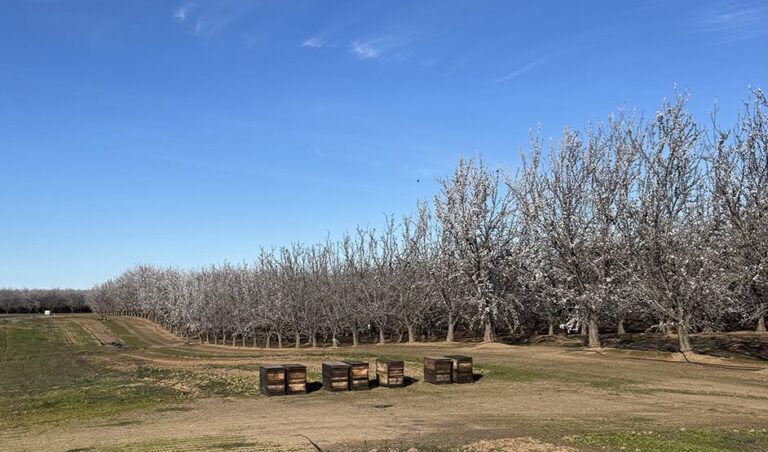 Northern Perspective: February 2026