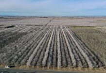 Nickels Soil Lab Fundraiser Nets $40,000 for Research