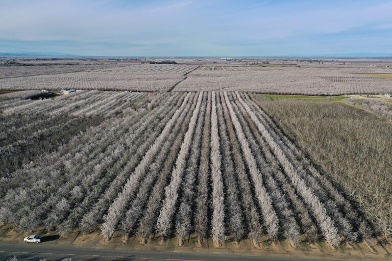 Nickels Soil Lab Fundraiser Nets $40,000 for Research