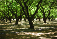 ILRP Expert Panel Evaluating Considering Programmatic Changes